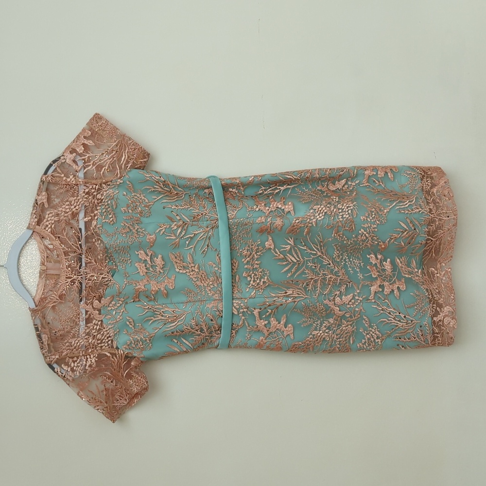 Beautiful ilona Aqua And Blush Lace Dress